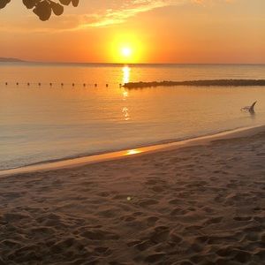 Meet your Posher, Hayley